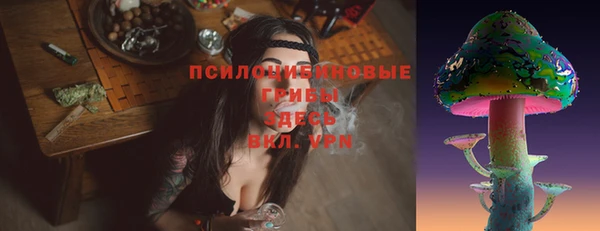 трава Абаза