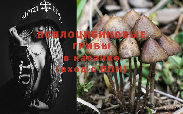 спайс Алексеевка