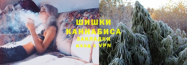 дмт Алзамай