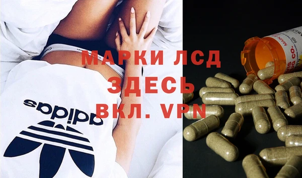 дмт Алзамай